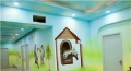 画师在手绘墙过程中所注意的几项